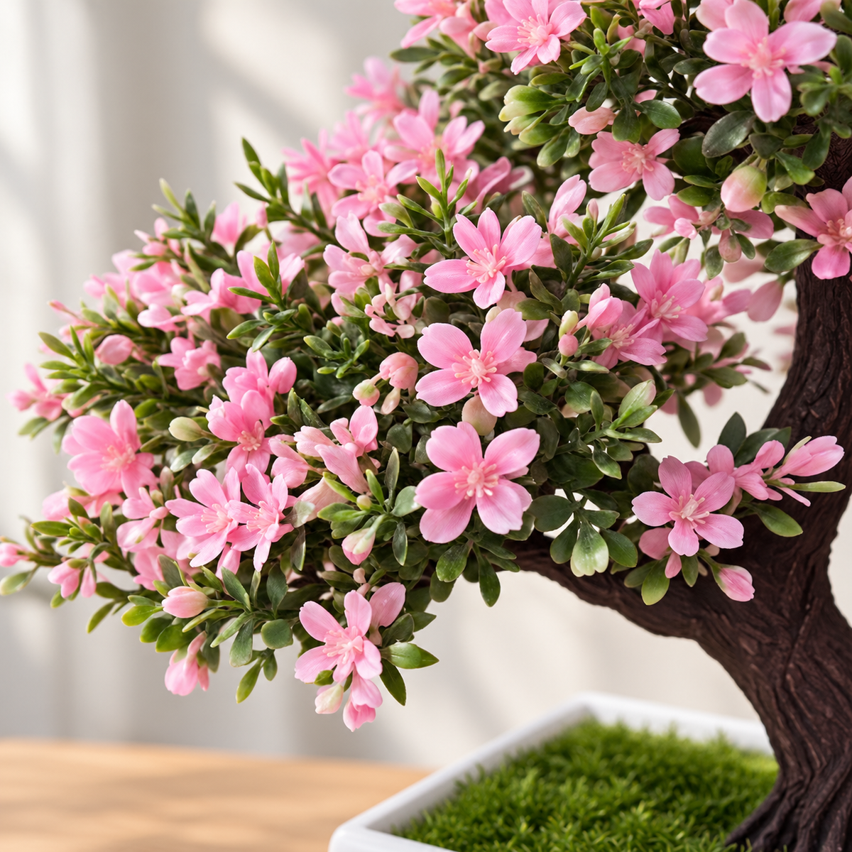 Mini Sakura Bonsai